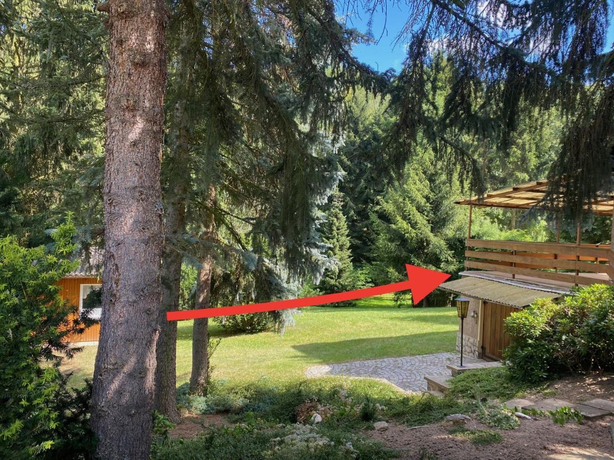 Villa Residenz Waldfrieden Garnsdorf Exterior foto